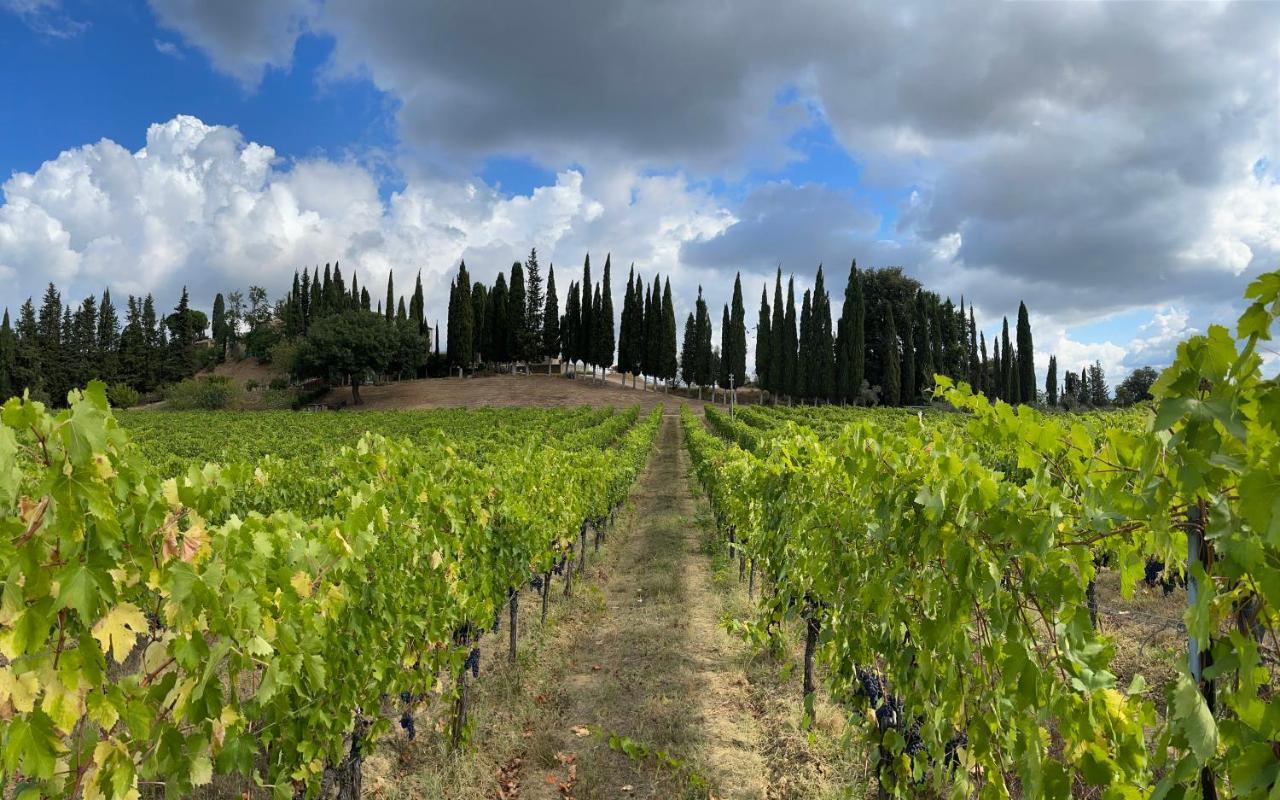 Fattoria Di Pancole Villa San Gimignano Dış mekan fotoğraf